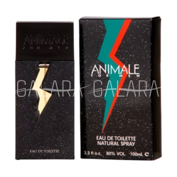 ANIMALE For Men